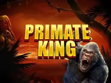 Vipcasino screenshot